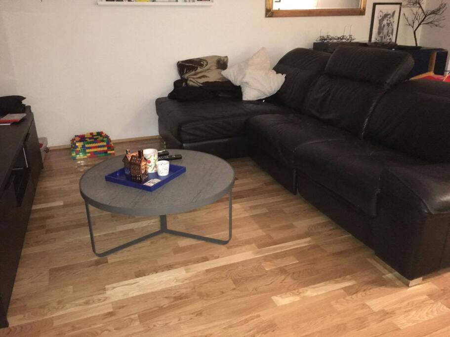living room with a tv