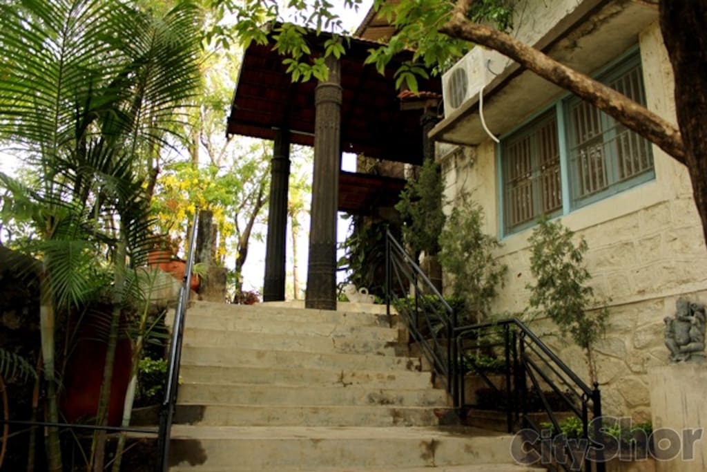 Front View