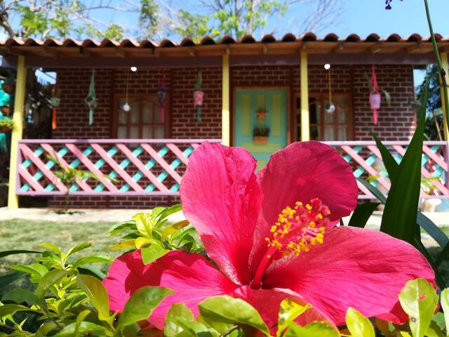 Tiny house ~ WiFi ~ steps from Tayrona entrance