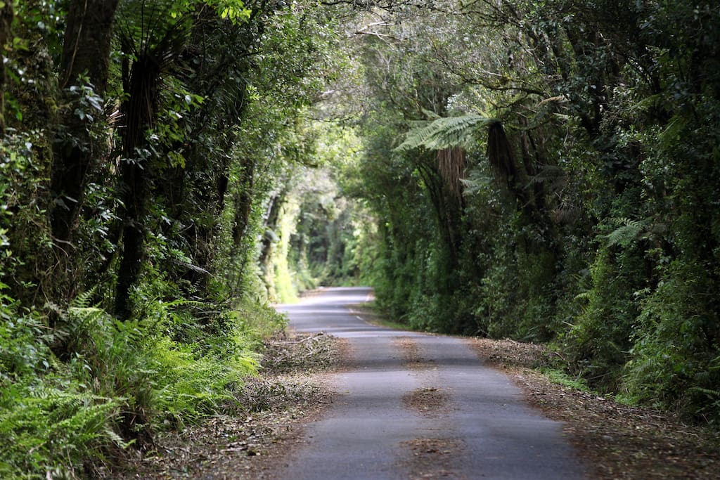 Our beautiful driveway