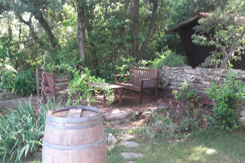 Terrasse sous chêne vert (sud)
