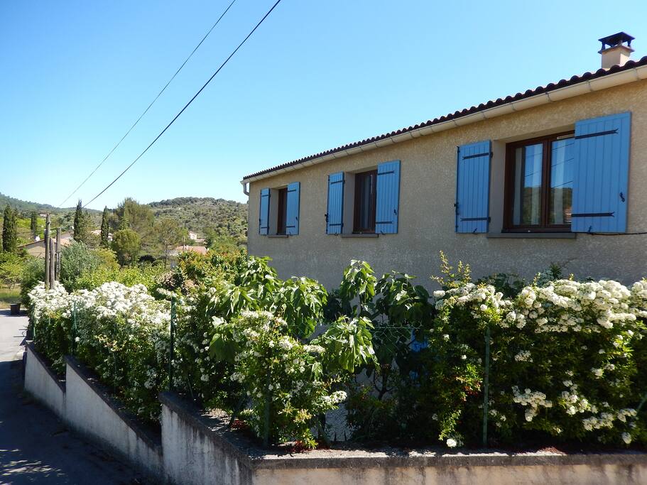 arrière de la maison