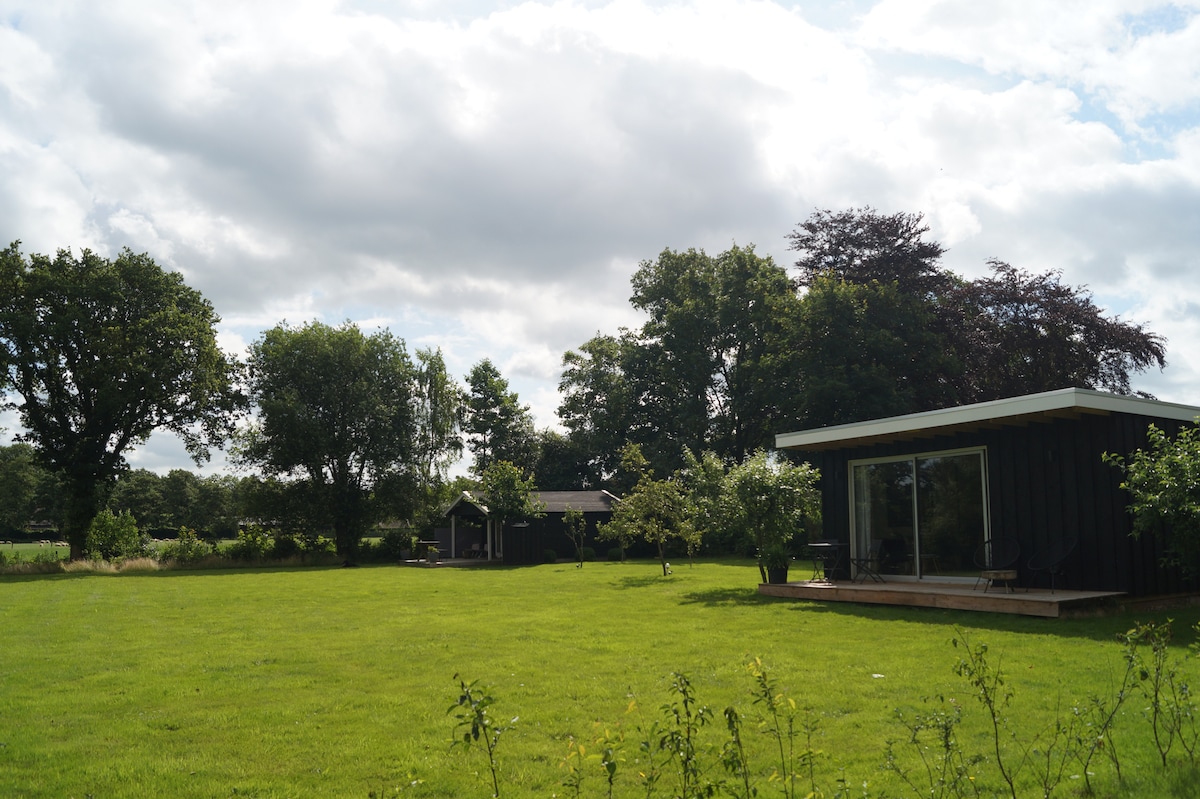 A spacious grassy area is surrounded by trees and shrubs, providing a natural setting. In the foreground, a contemporary cabin is visible, featuring large glass doors that open to the outdoor space. A second, smaller structure can be seen in the background.