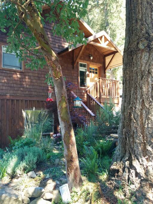 Private entrance. This garden and feeders attract many birds and hummingbirds.