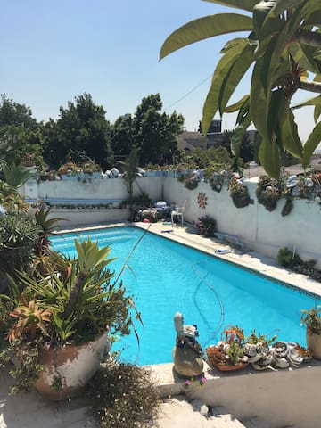 Sunny artist home in perfect location! gallery image 4