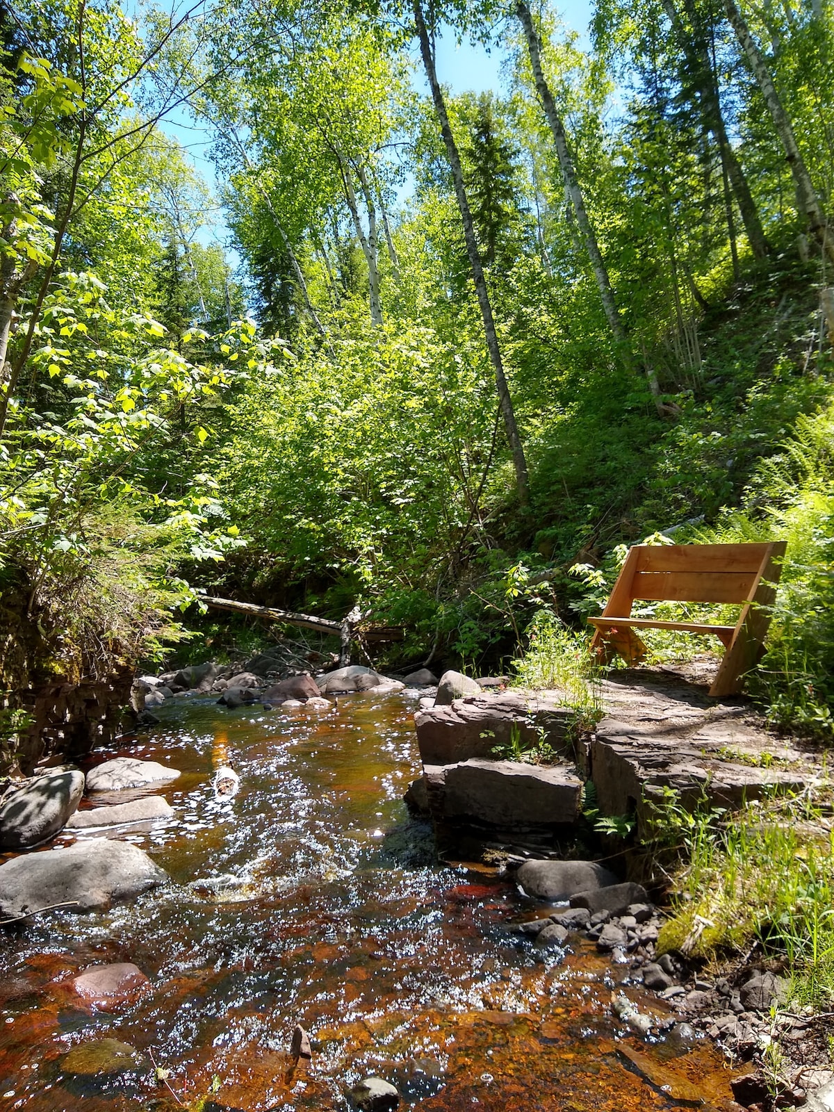 A serene scene along a gently flowing creek is depicted, featuring a wooden bench positioned on a stone path. Lush greenery surrounds the water, with sunlight filtering through the trees, creating a tranquil setting ideal for relaxation.