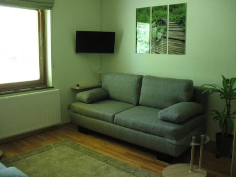 Erfolgreiche Airbnb-Immobilie: Holiday Apartment Reisseck in Kärnten