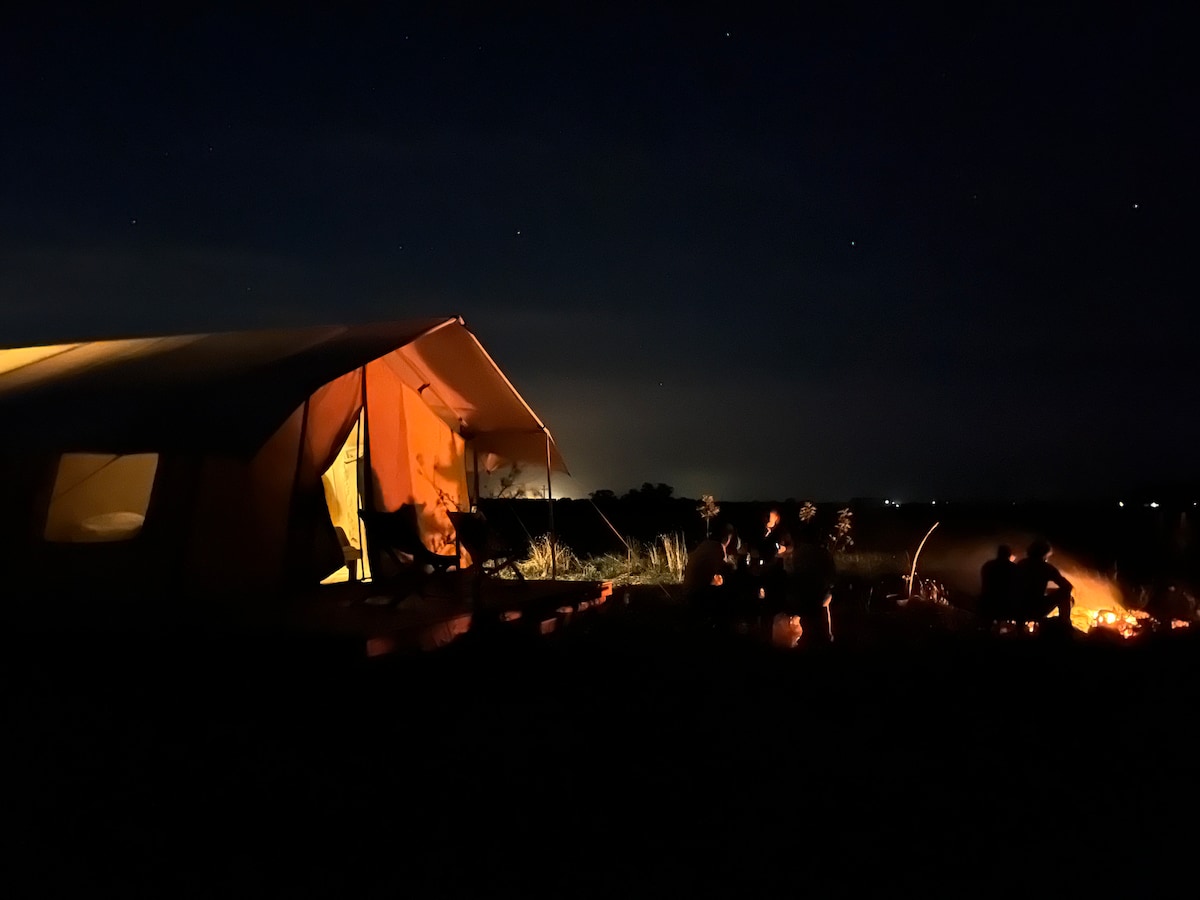 A tent illuminated softly under a night sky presents an inviting setting. Warm light spills from the entrance, revealing a cozy outdoor gathering around a crackling fire. The distant stars enhance the serene atmosphere of the countryside.