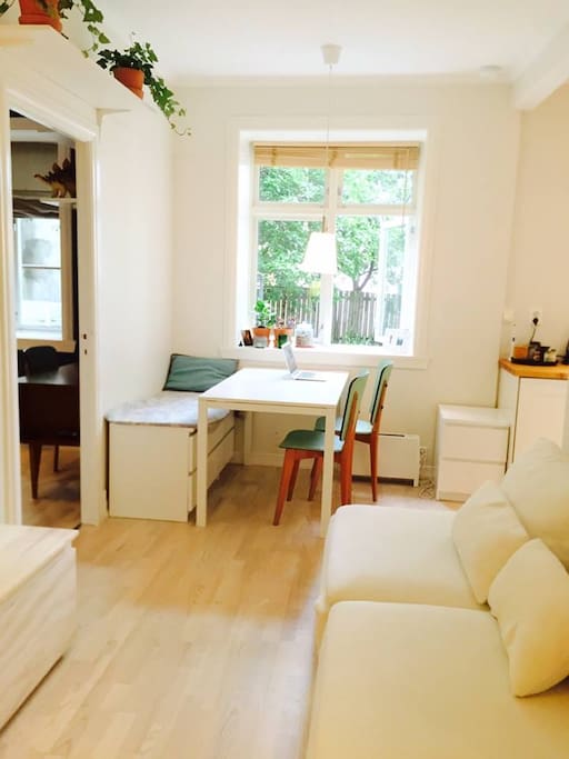 A cosy open plan living space