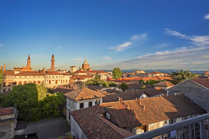 Overview on the historic centre of Pavia