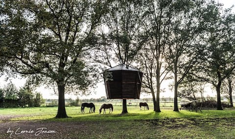Treehouse Goldsworthy