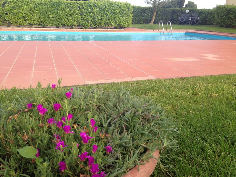 Piscina e Giardino con sdrai a disposizione degli ospiti