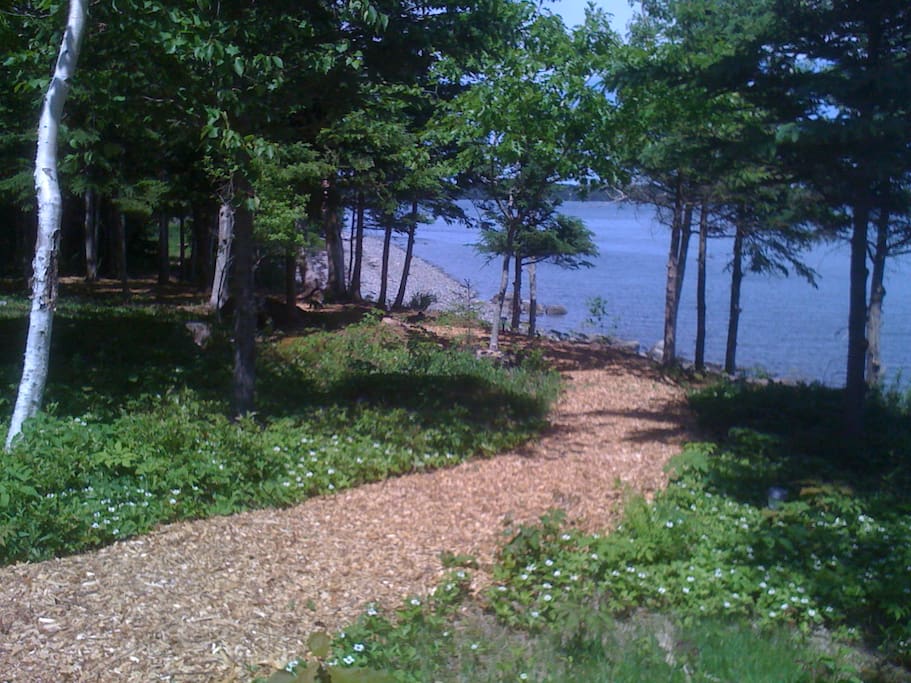 Woodland path to beach