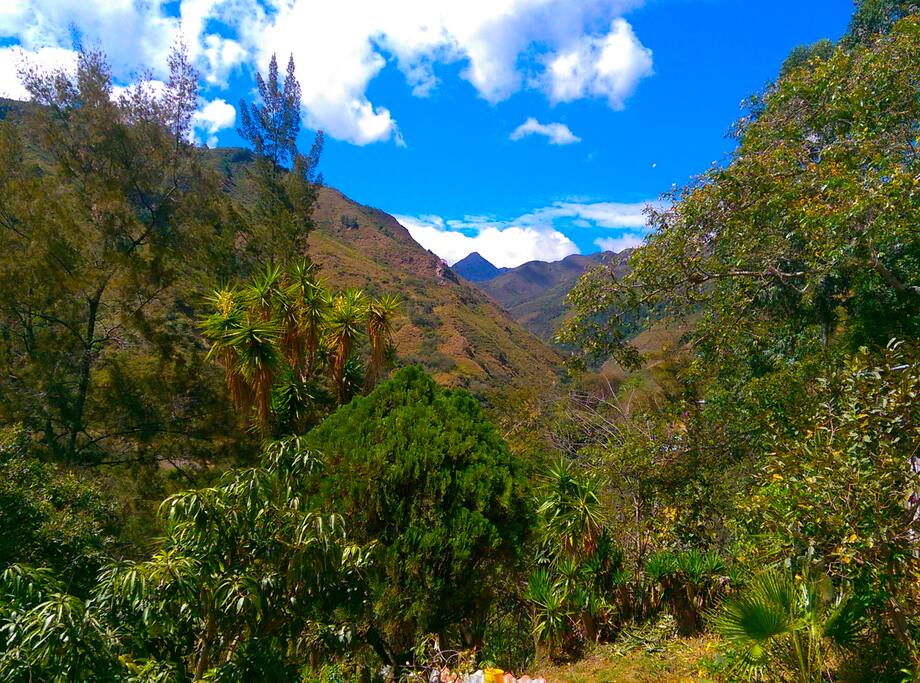 Up-valley view - Hummingbird Suite - Vilcabamba