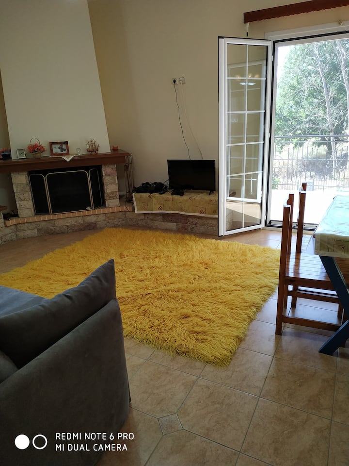 Charming  with a fireplace and a view of the plane trees!