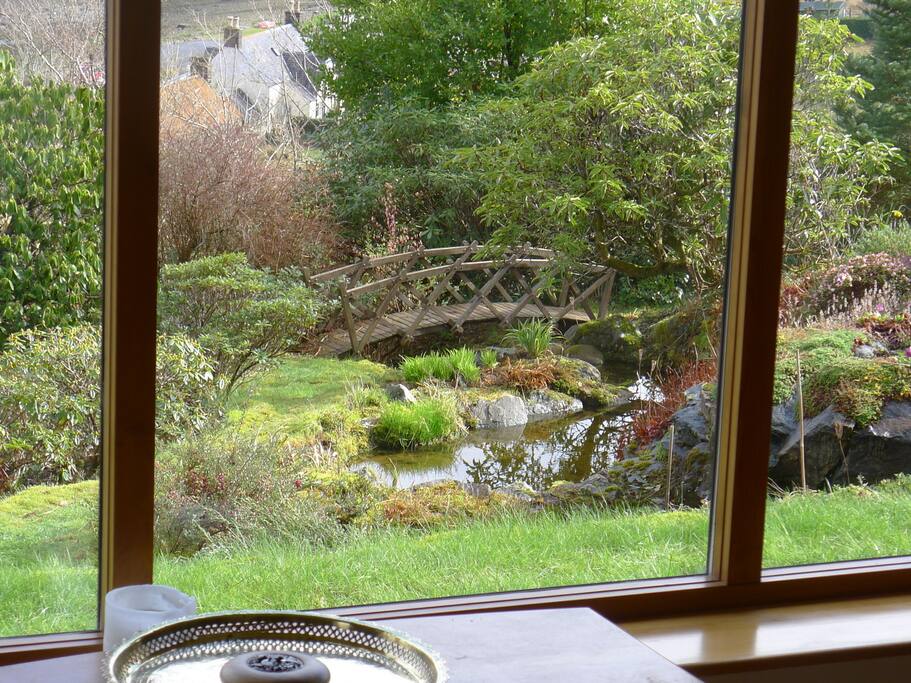 View from the lounge