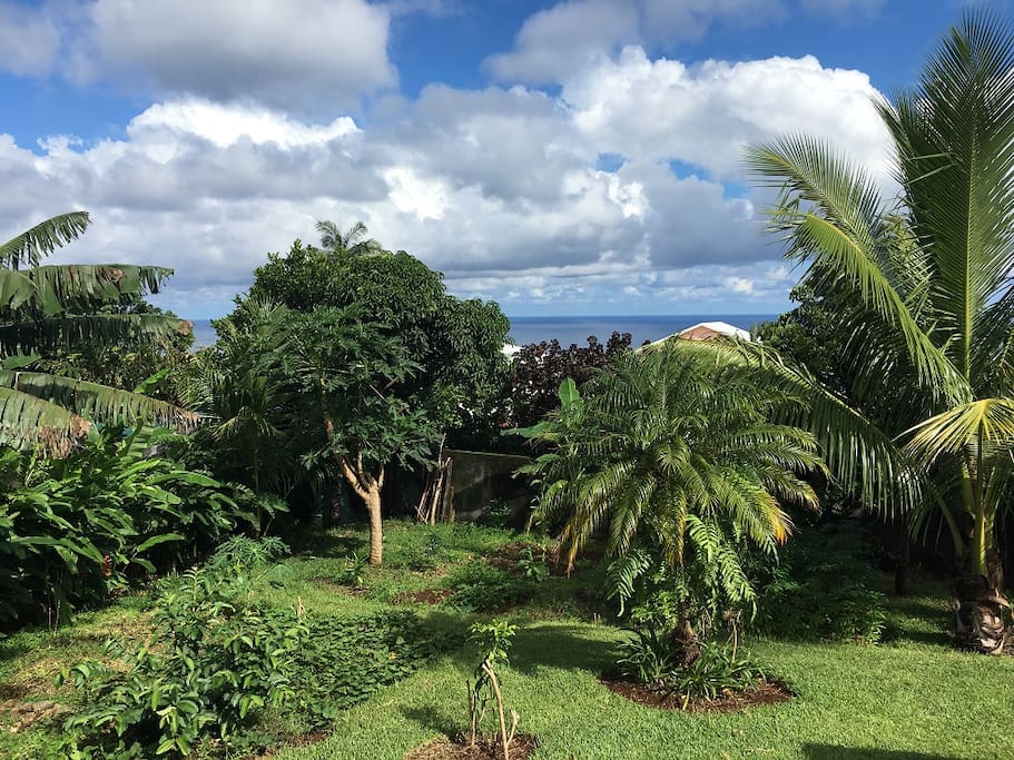 Jardin SUD avec vue sur mer