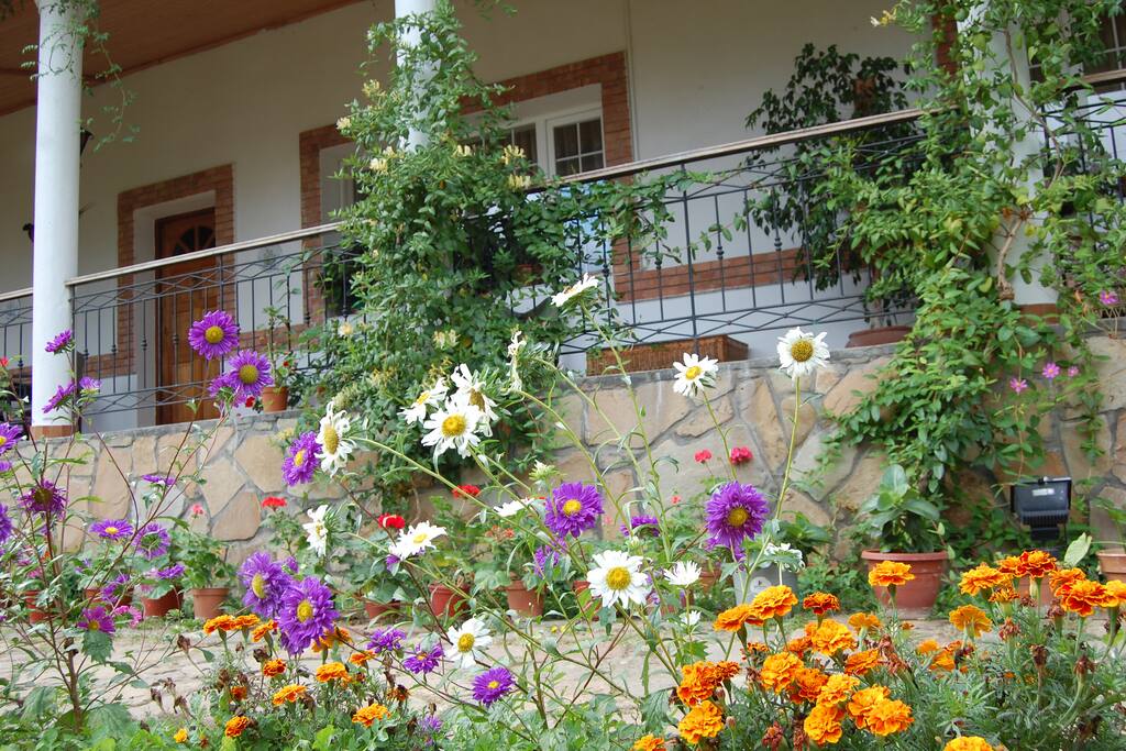 Well managed, extensive gardens, home grown herbs and vegetables