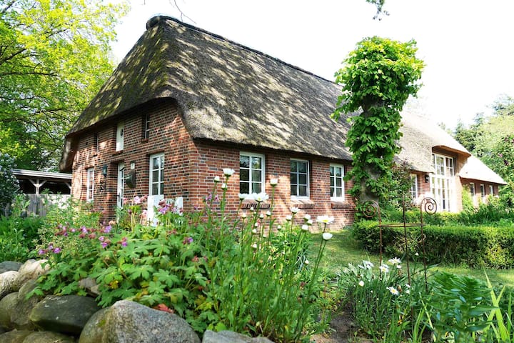 Airbnb Sollwitt Vacation Rentals Places To Stay Schleswig