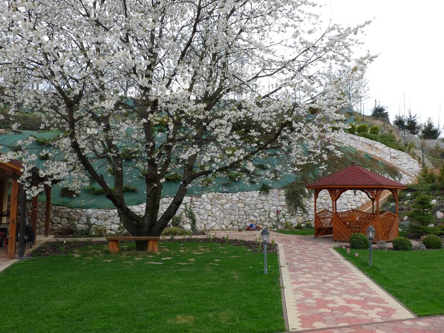 garden