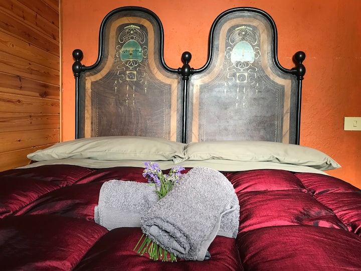 
Კამერა  La Sibilla