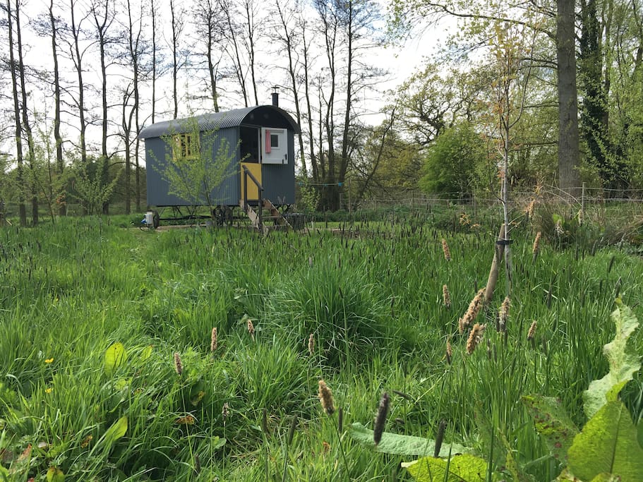springtime at Fen Lodge
