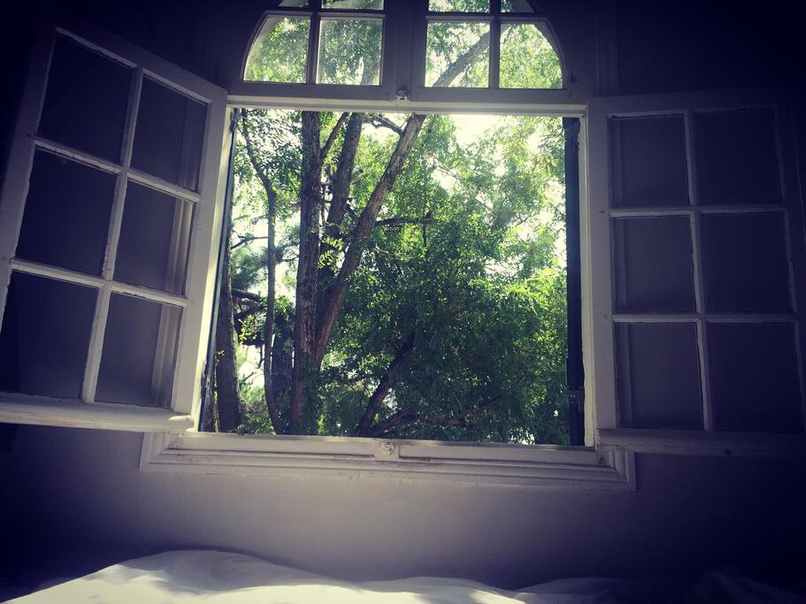 chambre jaune