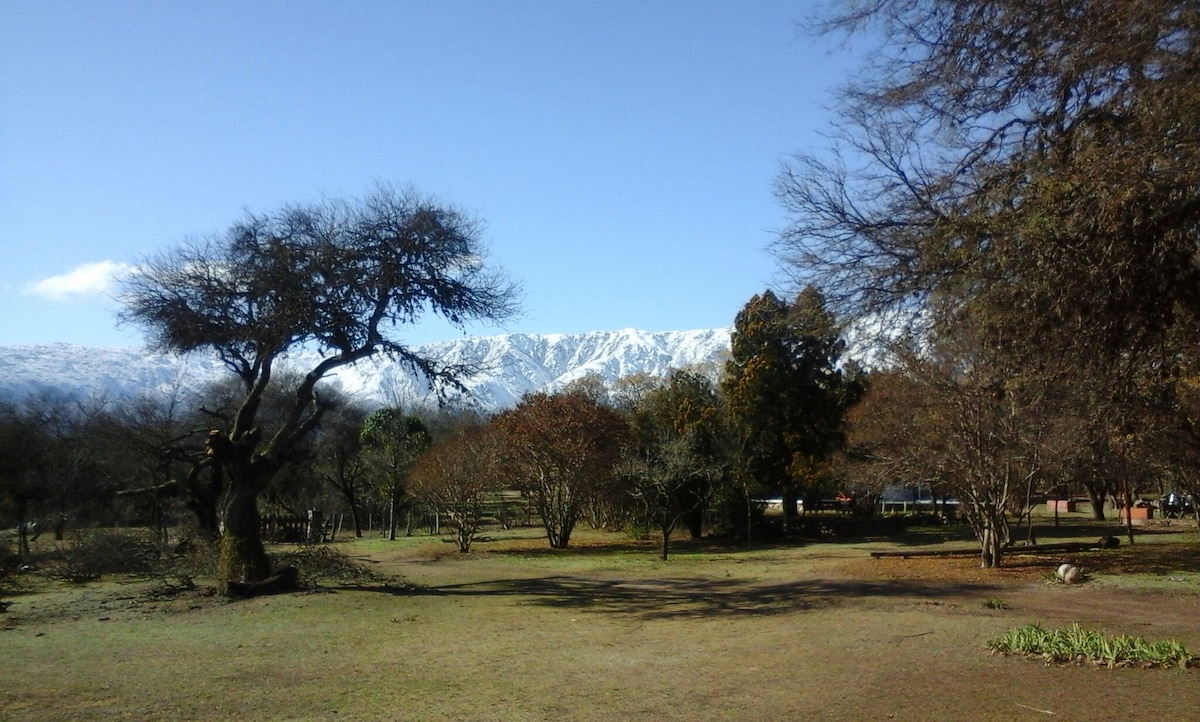 A wide landscape features a grassy area dotted with trees, showcasing a snowy mountain range in the background. The scene is bathed in daylight, with blue skies overhead and a few wispy clouds adding to the serene atmosphere.
