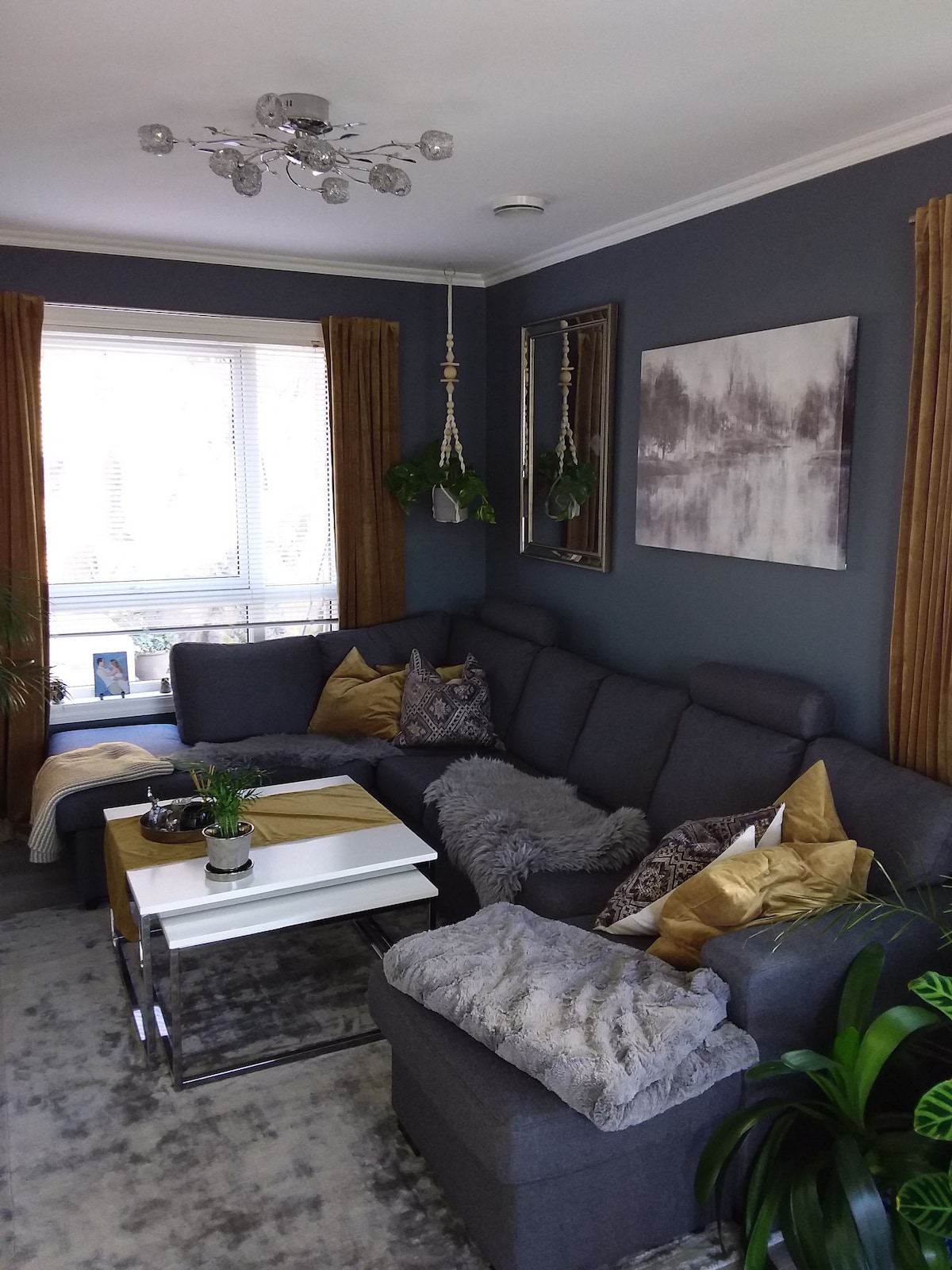 ตะขอทีวี 