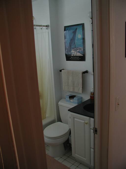 Adjacent semi-private bathroom