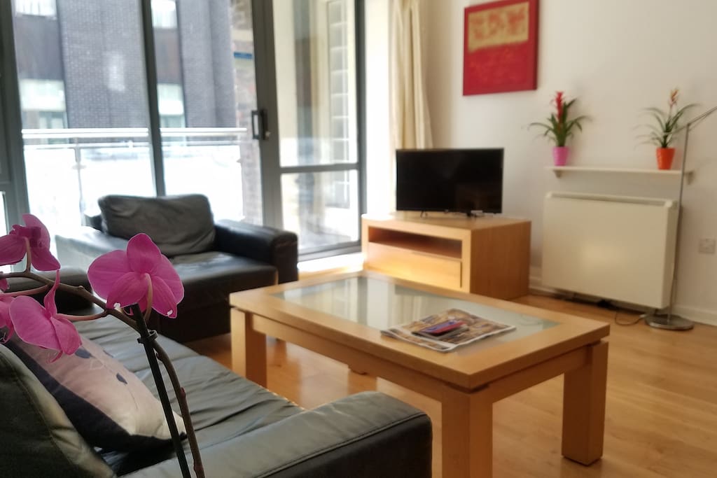 Living area includes TV, and lots of light from the huge french windows.