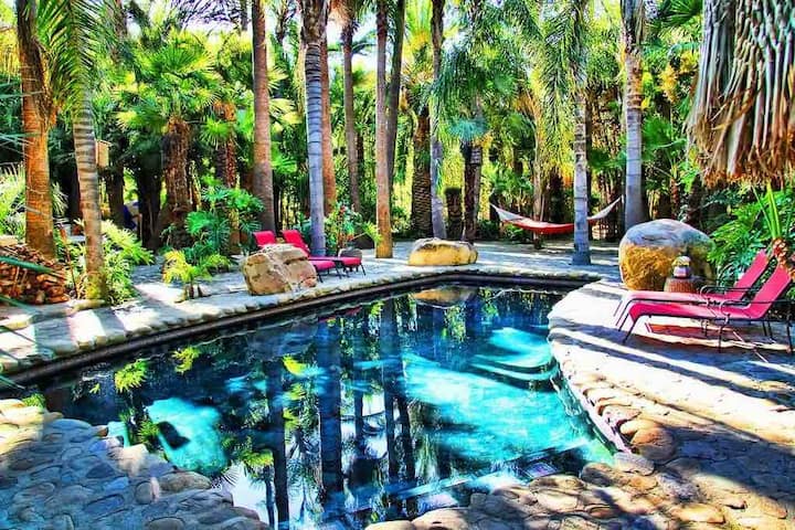 Magical Tropical Ranch with Lagoon Pool -4 Acres
