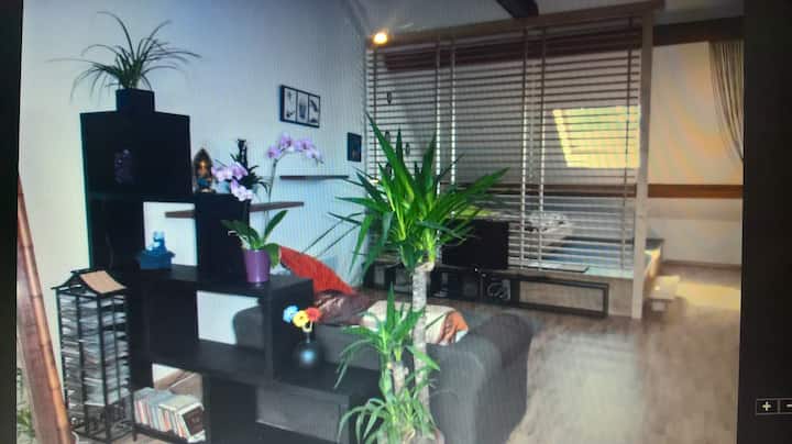 חדר גדול 45 מ"ר