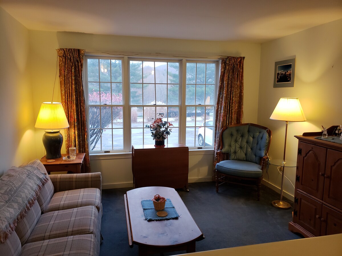 סלון עם ספה נפתחת