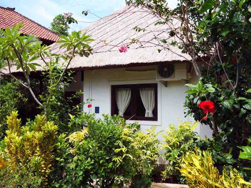 A traditional bungalow is surrounded by a well-maintained tropical garden, exhibiting vibrant plants and flowers. The thatched roof adds a rustic charm, while a window with sheer curtains invites natural light into the interior. The lush greenery provides a serene and private atmosphere.