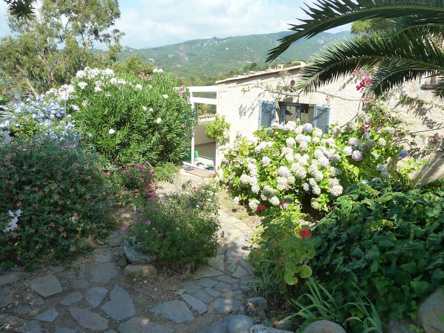 JARDIN COTE ENTREE