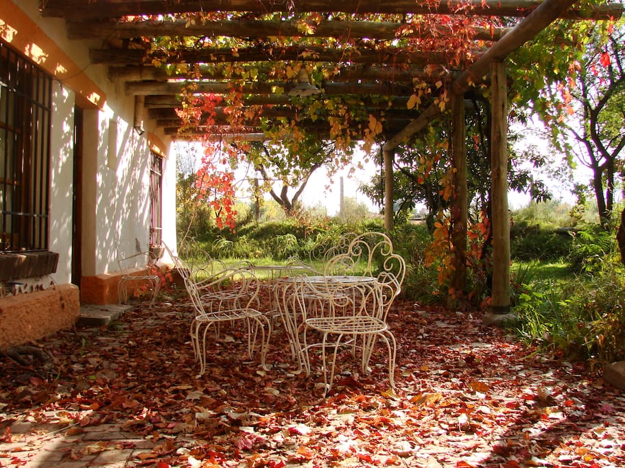 Front porch in autumn