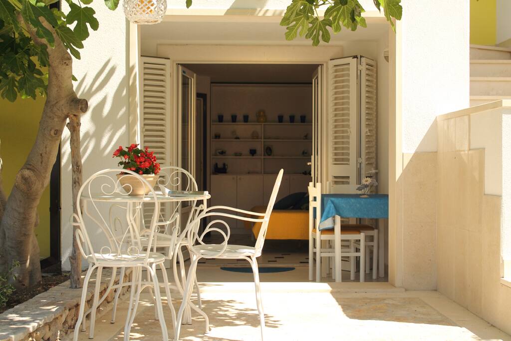 Shaded space below the fig tree