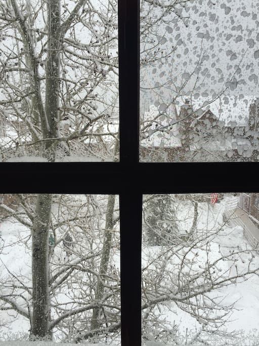 View out the window when I took these pictures. That ended up being 4 feet of powder.