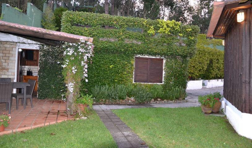 Douro Charming Chalet gallery image 3