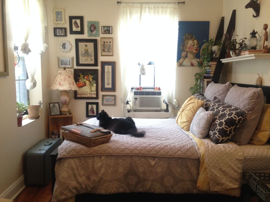 Bright, sunny room designed with books, art, plants and comfort in mind! (Kitty not included)