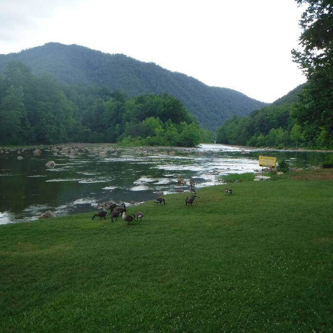 View of the river..