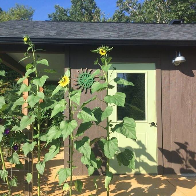 Community building with herb garden.
