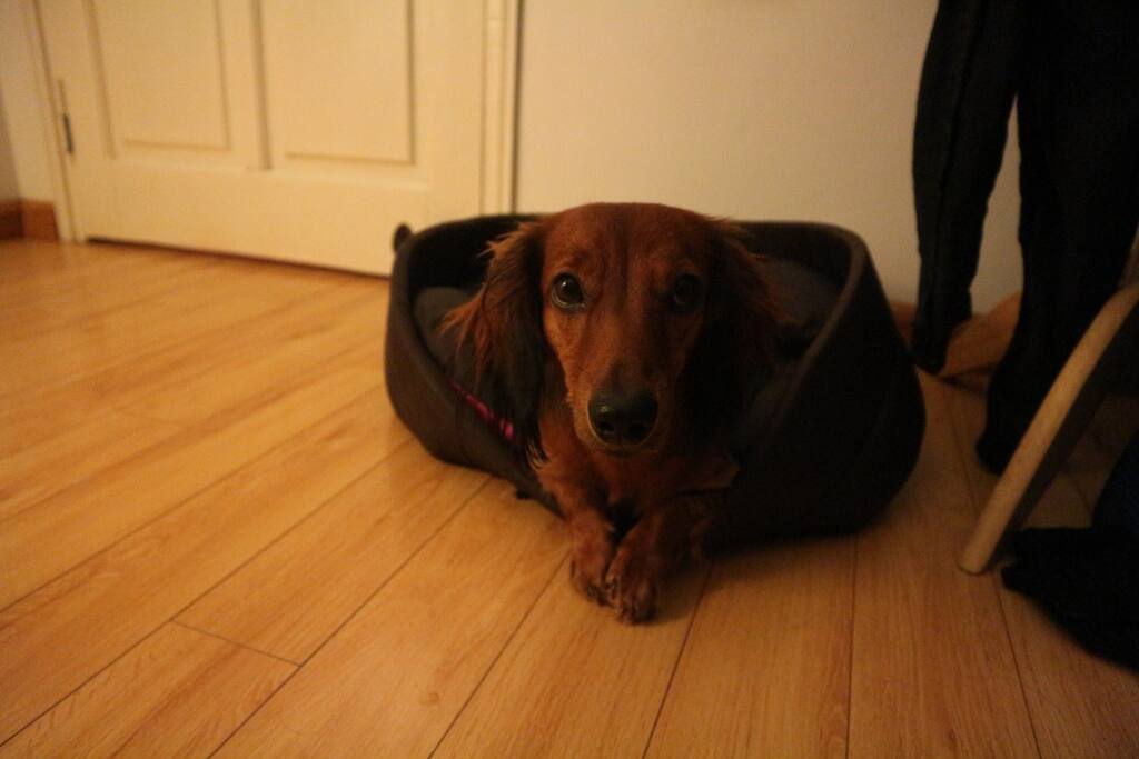 Jack