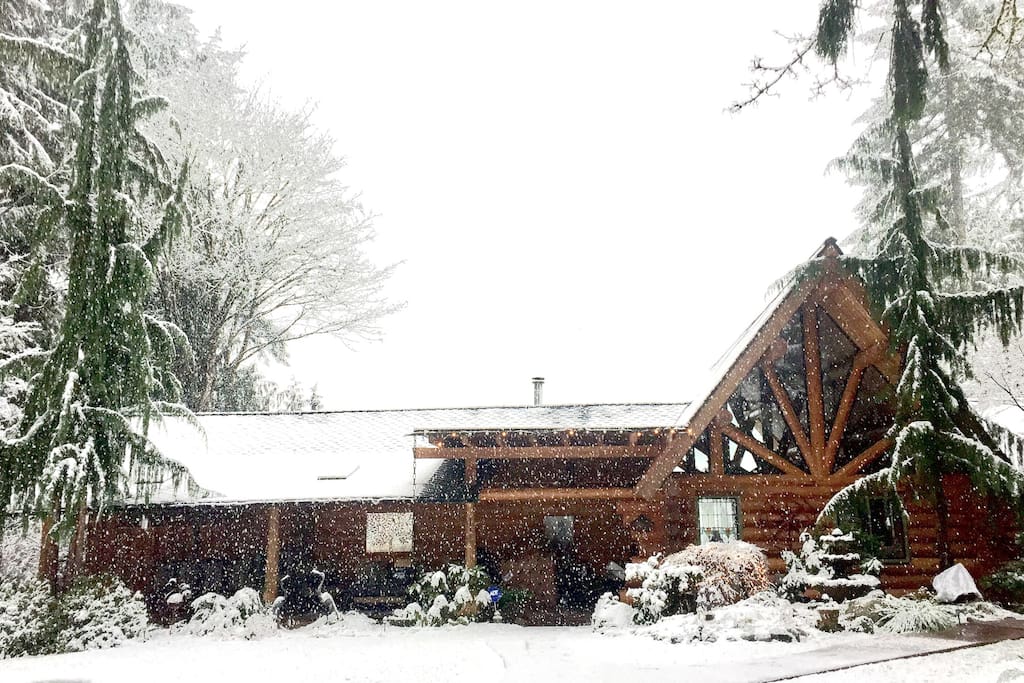 Let it Snow!