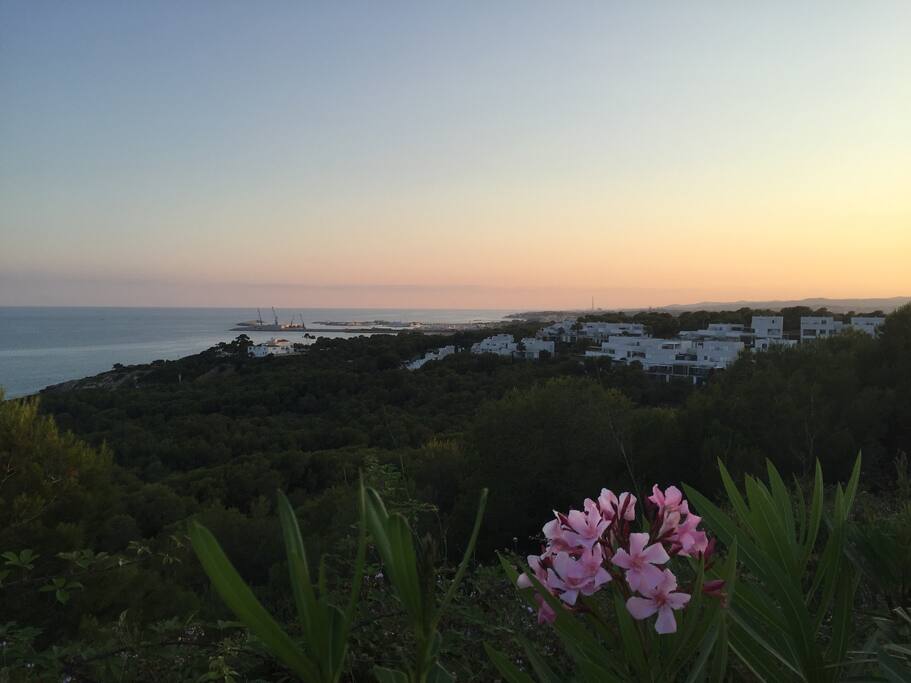 View to the sea