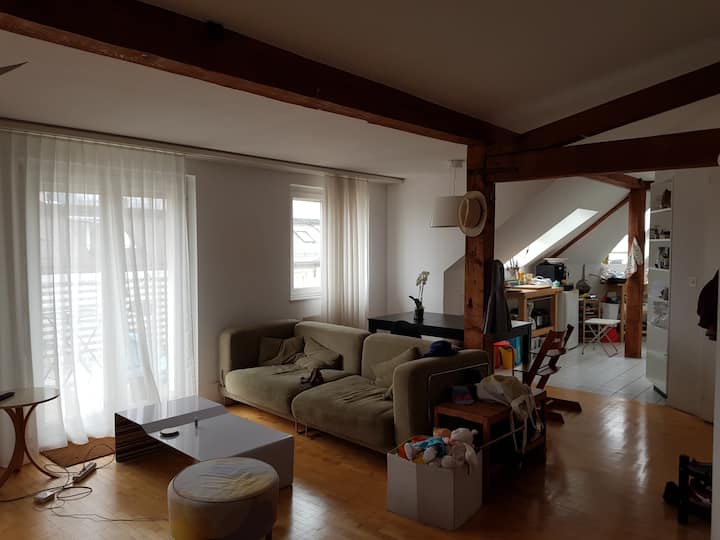 Fantastic apartment w/ lake view in city centre