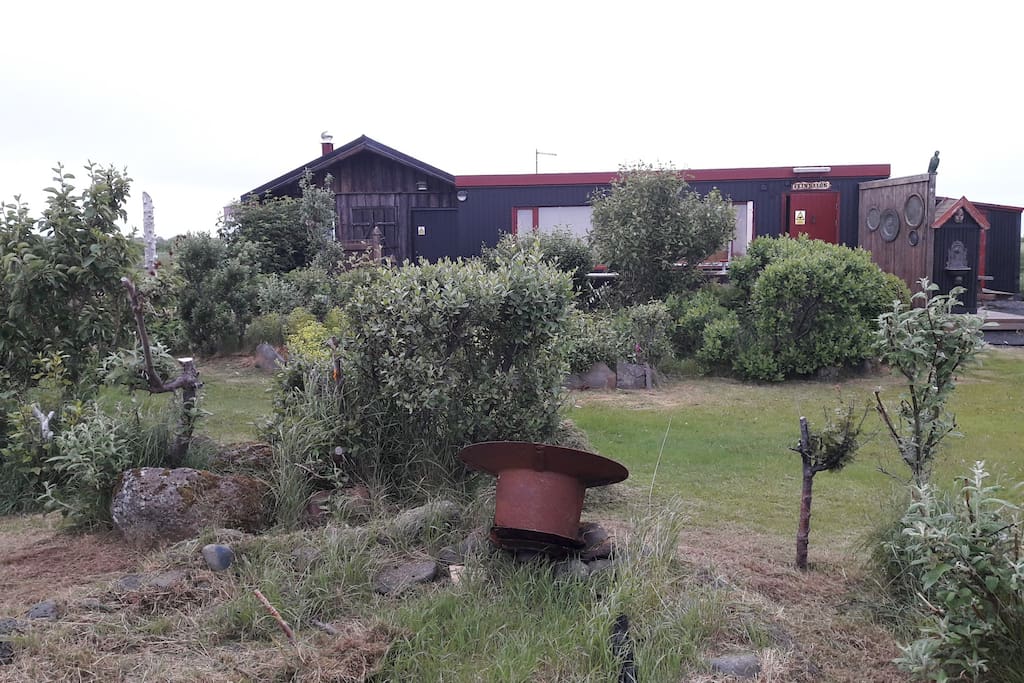 The house