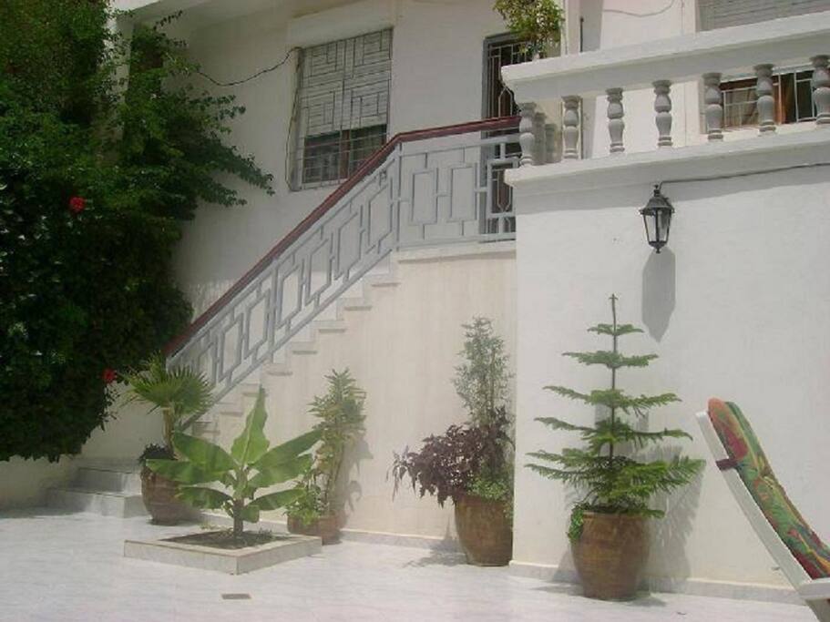 Sunny Garden