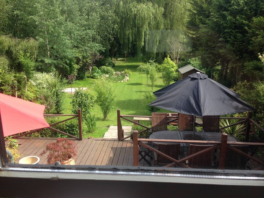 The View from the Living Room